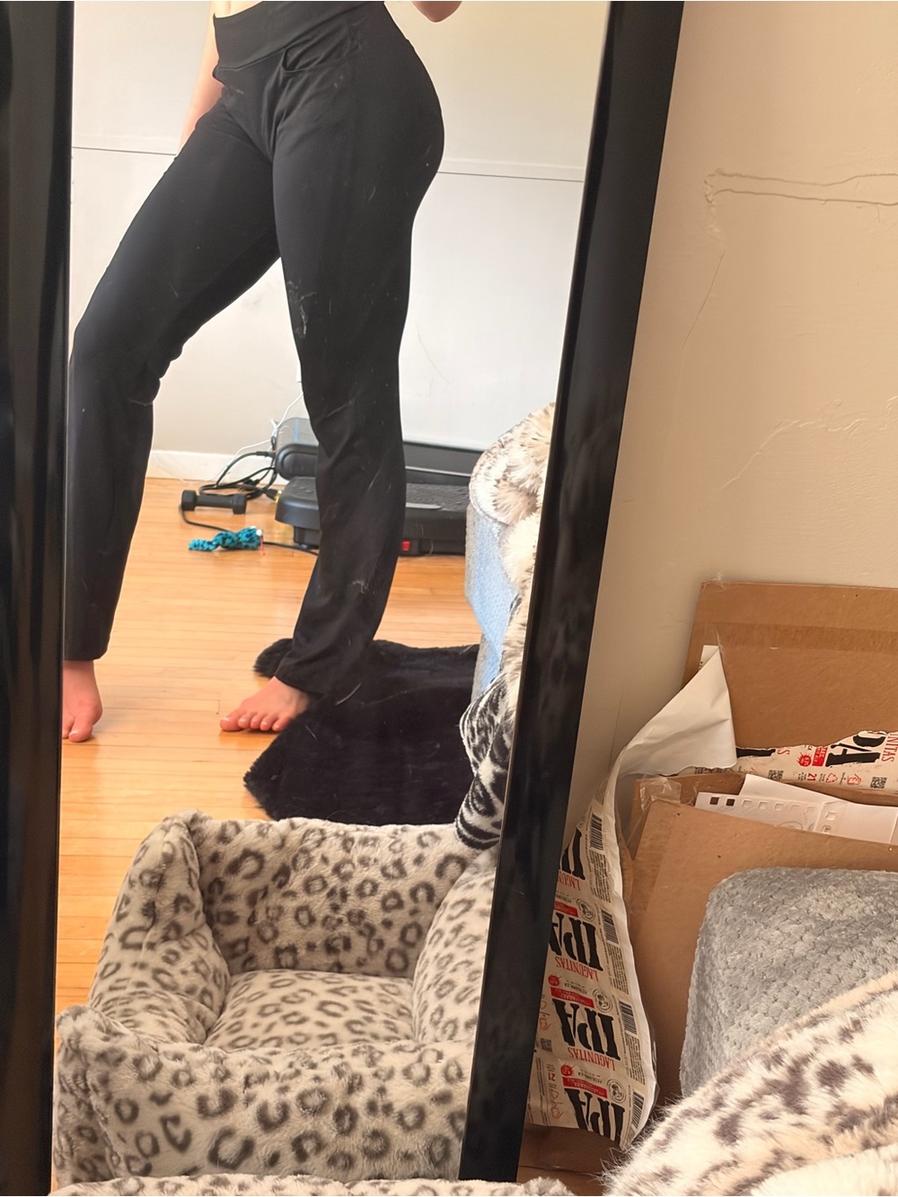 Yoga/work pants